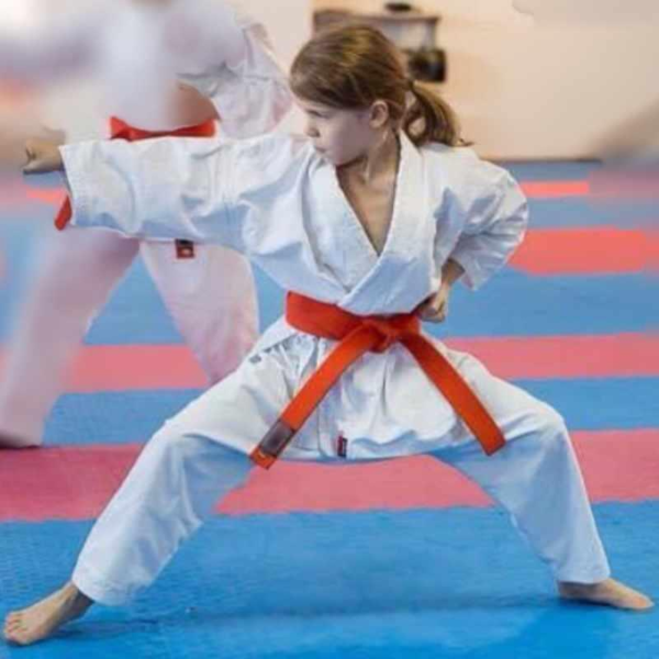 KAZE PREMIUM Karate gi (logofri) 11 oz. fra DKK 669,00 hos BUDOLAND